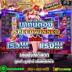 เบทฟิก666